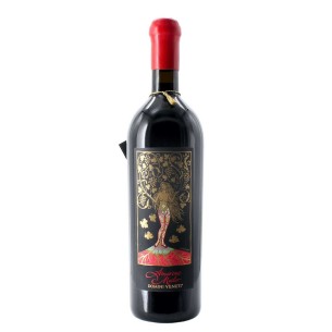 amarone della valpolicella classico riserva mater 2017 75 cl domini veneti - enoteca pirovano