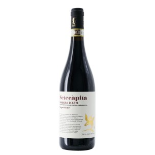 barbera d'asti docg setecàpita 2018 75 cl tenuta santa caterina - enoteca pirovano