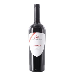 rosso di montalcino doc l'america 2020 75 cl castiglion del bosco - enoteca pirovano