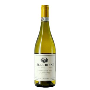 villa bucci verdicchio castelli di jesi riserva classico 2021 75 cl - enoteca pirovano