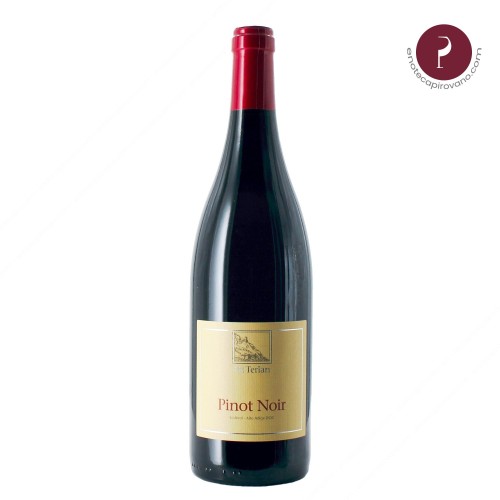 pinot noir 2024 75 cl terlano - enoteca pirovano