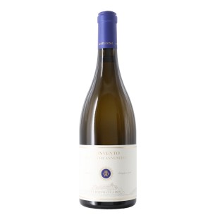 curtefranca bianco convento ss. snnunciata 2023 75 cl bellavista - enoteca pirovano