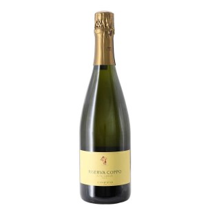 extra brut alta langa docg riserva coppo 2020 75 cl coppo - enoteca pirovano