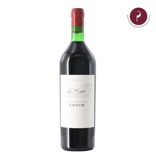 teroldego 2024 75 cl foradori - enoteca pirovano