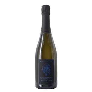 franciacorta saten ammonites 75 cl camilucci - enoteca pirovano