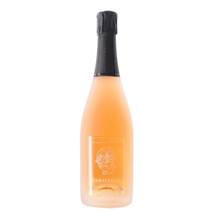 franciacorta rosé ammonites dosaggio zero 75 cl camilucci - enoteca pirovano